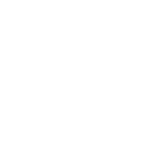 Vicentinos: serviço e missão por amor a Igreja.