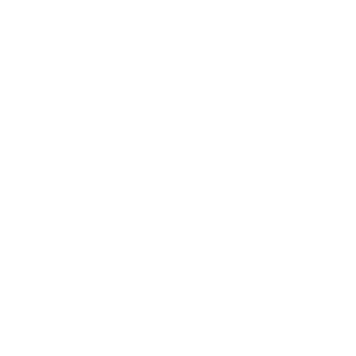 Vicentinos: serviço e missão por amor a Igreja.