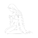 Vida consagrada: doação total para o Reino do Senhor.