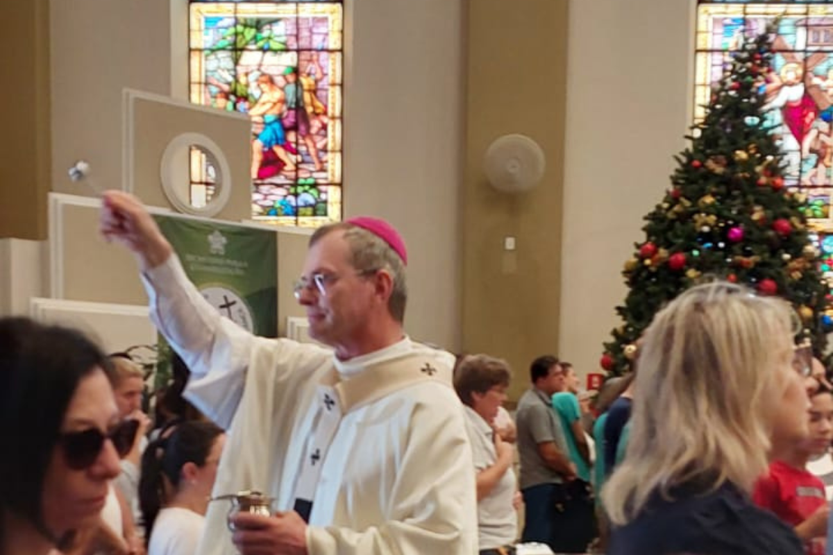 Pinheiro de Natal: símbolo de vida eterna